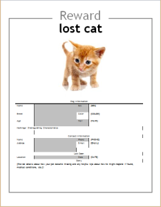 Lost pet flyer