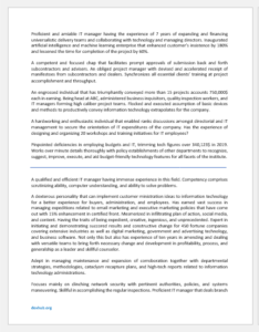 IT Manager Resume Summary Samples