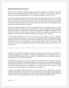 Marketing manager resume summary