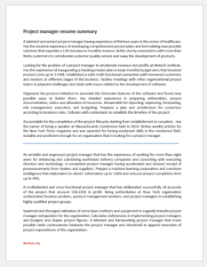 Project manager resume summary