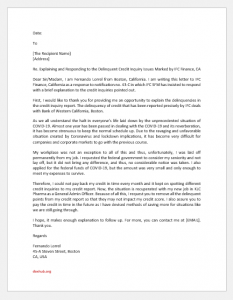 Delinquent Credit Issue Explanation Letter | Document Hub